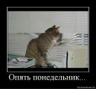 Ігор Скиба фотография #13 (источник - https://vk.com/id21373283)