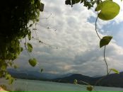 Анна Шефер фотография #41 (источник - https://vk.com/id712166)