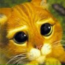 Фотография Стельмаха Алексея