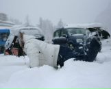 Фотография Зелепухиной Юлии