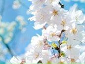 Фотография Ихсановой Эли