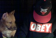 Фотография Лосева Ирина