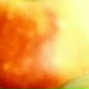 Елена Дмитриева фотография #9 (источник - https://vk.com/id485380)