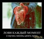 Фотография Живой Пар Ирины