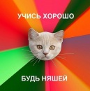 Фотография Власенко Виктории