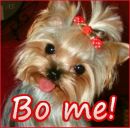 Матвій Туцький фотография #36 (источник - https://vk.com/id144385460)