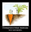 Ольга Міщук фотография #13 (источник - https://vk.com/id36523241)