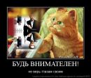Юрій Мизинюк фотография #39 (источник - https://vk.com/id113533787)