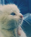 Любовь Κарасева фотография #3 (источник - https://vk.com/id136718381)