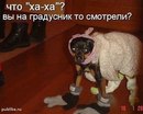 Діана Климчук фотография #12 (источник - https://vk.com/id146089045)