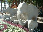 Фотография Тепловой Ларисы