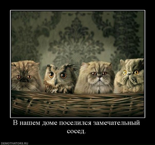 Иван Друковский фото №14