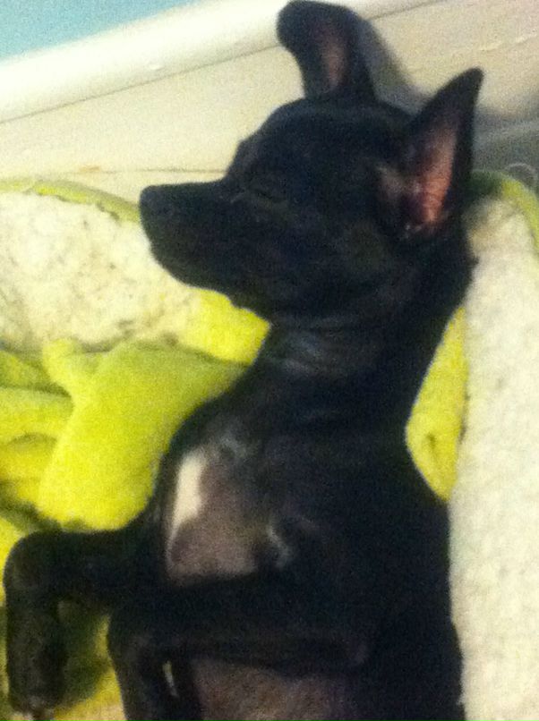 Olya Shepel фотография #45