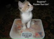 Оксана Тимків фотография #22 (источник - https://vk.com/id67585918)