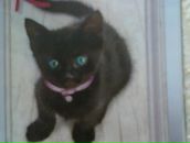 Фотография Хлытиной Светланы