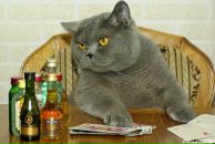 Фотография Кошкарёва Алексея