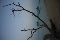 Фотография Павличка Дмитрия