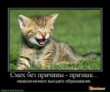 Фотография Ильиной Катарины