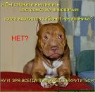 Світлана Блашко фотография #19 (источник - https://vk.com/id50099462)
