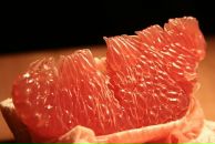 Фотография Ашихминой Катерины