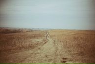 Фотография Павлов Александр