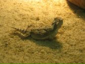 Фотография Сергеевича Сергея