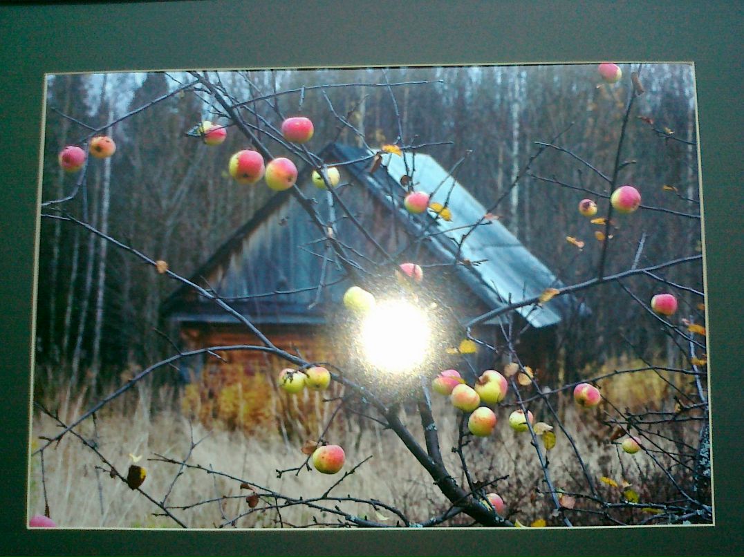 Григорий Сусеков фотография #22