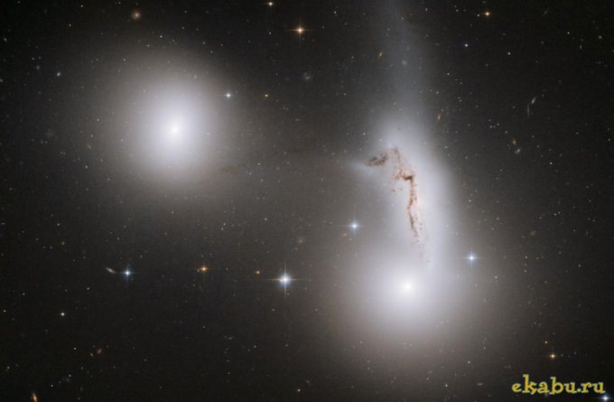 Антон Засада фотография #14