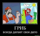Фотография Савельева Виталия