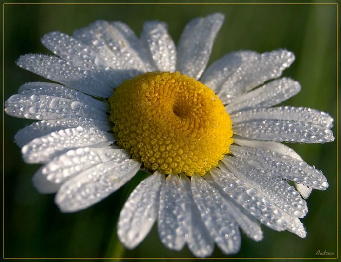 Sabrina Wifkinson фото №44