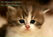 Анна Бундюк фотография #29 (источник - https://vk.com/id3442810)