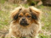 Фотография Бойко Алёны