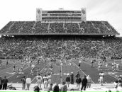 Анна Елыкова фотография #24 (источник - https://vk.com/id211067)