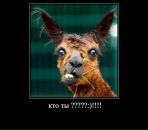 Миша Лысенко фотография #46 (источник - https://vk.com/id12325771)