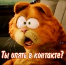 Амина Мустафаєва фотография #25 (источник - https://vk.com/id137642912)
