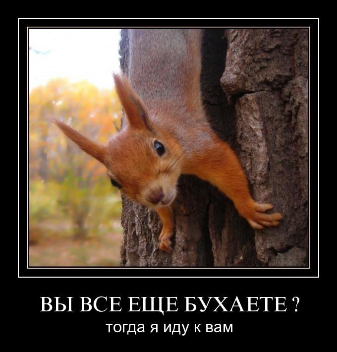 Дмитрий Бог фотография #24