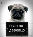 Григорій Малярчук фотография #38 (источник - https://vk.com/id131705233)