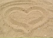 Фотография Иволгиной Татьяны