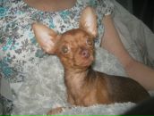 Фотография Авдеевой Евгении