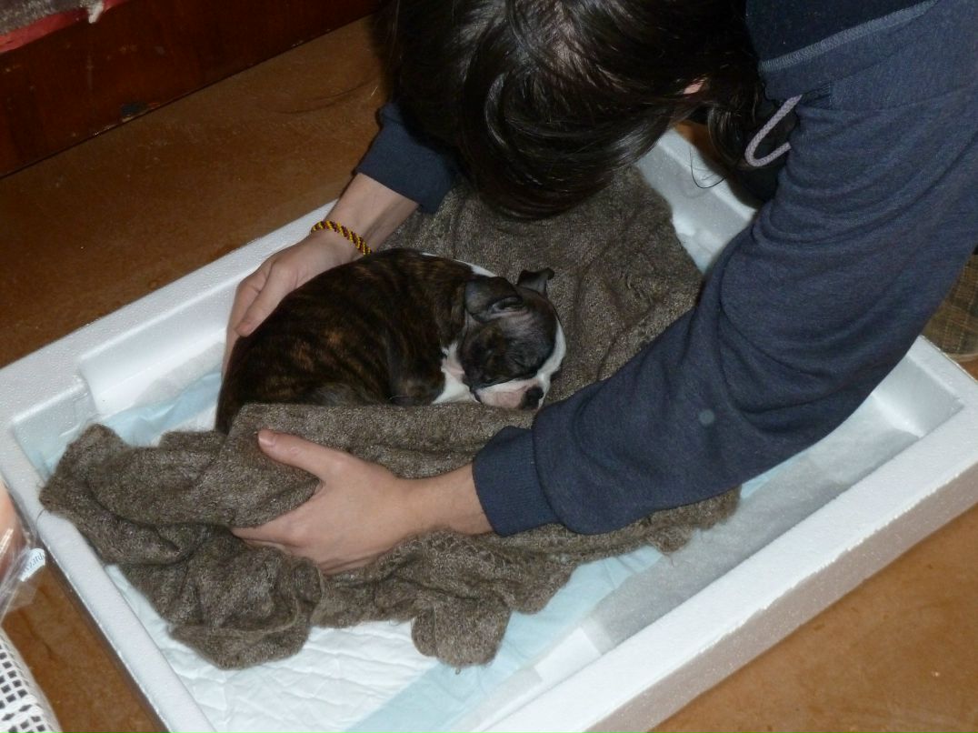 Дмитрий Павличенко фотография #38