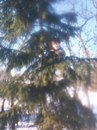 Міша Скірин фотография #28 (источник - https://vk.com/id169281268)