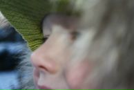 Міша Гушинець фотография #16 (источник - https://vk.com/id70349032)