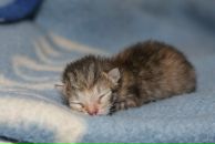 Фотография Симоновой Ирины