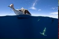 Фотография Бурчинского Андрея