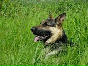 Міша Середа фотография #1