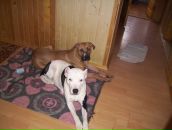 Назар Козоріз фотография #24 (источник - https://vk.com/id73048441)