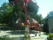 Інна Антонюк фотография #28 (источник - https://vk.com/id141276149)