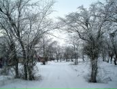 Фотография Гаряевой Валентины