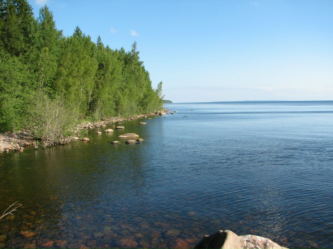 Николай Савельев фотография #21