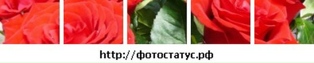 Крістіна Геревич фотография #13 (источник - https://vk.com/id38974374)